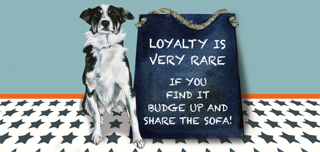 are border collie loyal