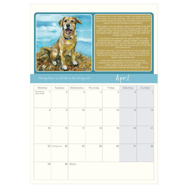 2024 Scruffy Mutts' Calendar The Little Dog Laughed Dogs Trust