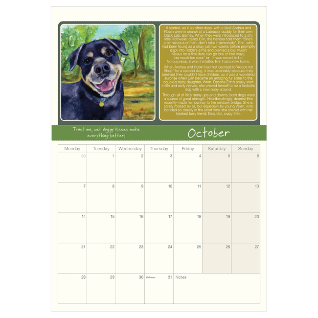 2024 Scruffy Mutts' Calendar The Little Dog Laughed Dogs Trust