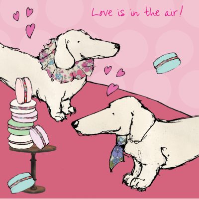 The Cake Party Collection | Birthday Cards